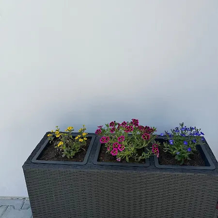 U Kostela Apartmán *